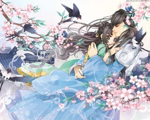 宝贝轻点张泽禹